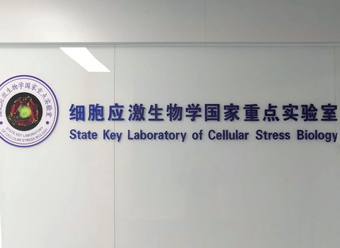 廈門大學(xué)實(shí)驗(yàn)室